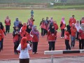 Tn UKM 9217